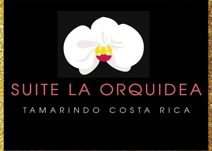La Orquidea