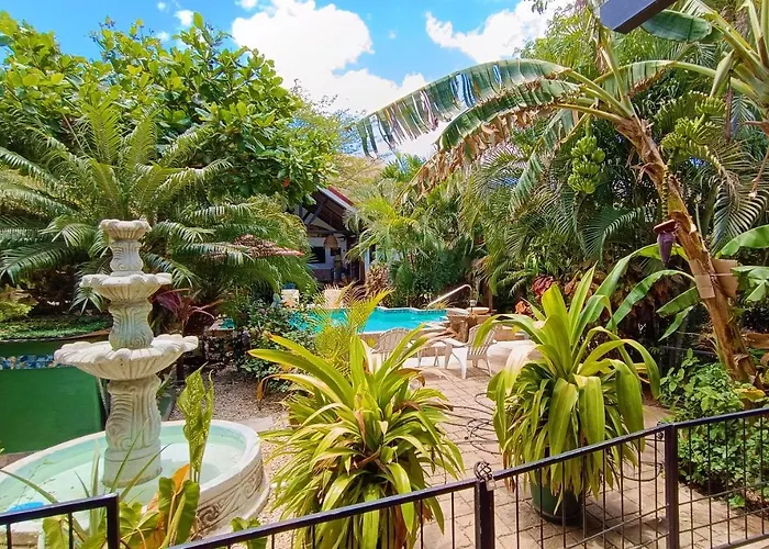 La Orquidea Séjour chez l'habitant Tamarindo