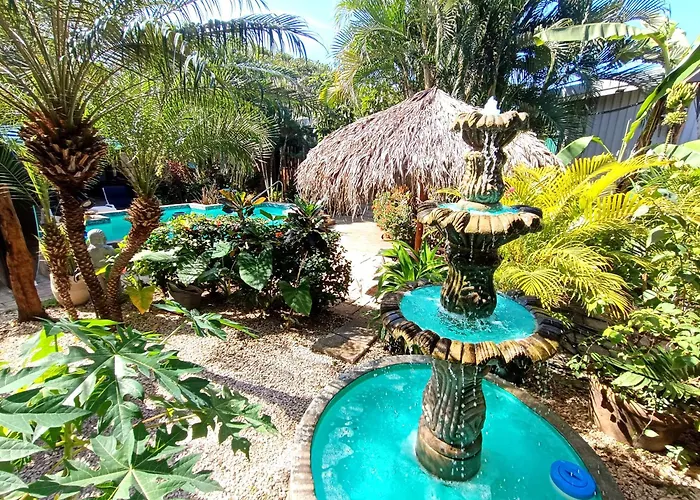 Séjour chez l'habitant La Orquidea Tamarindo